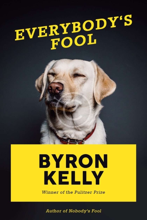 Everybody's Fool: A novel